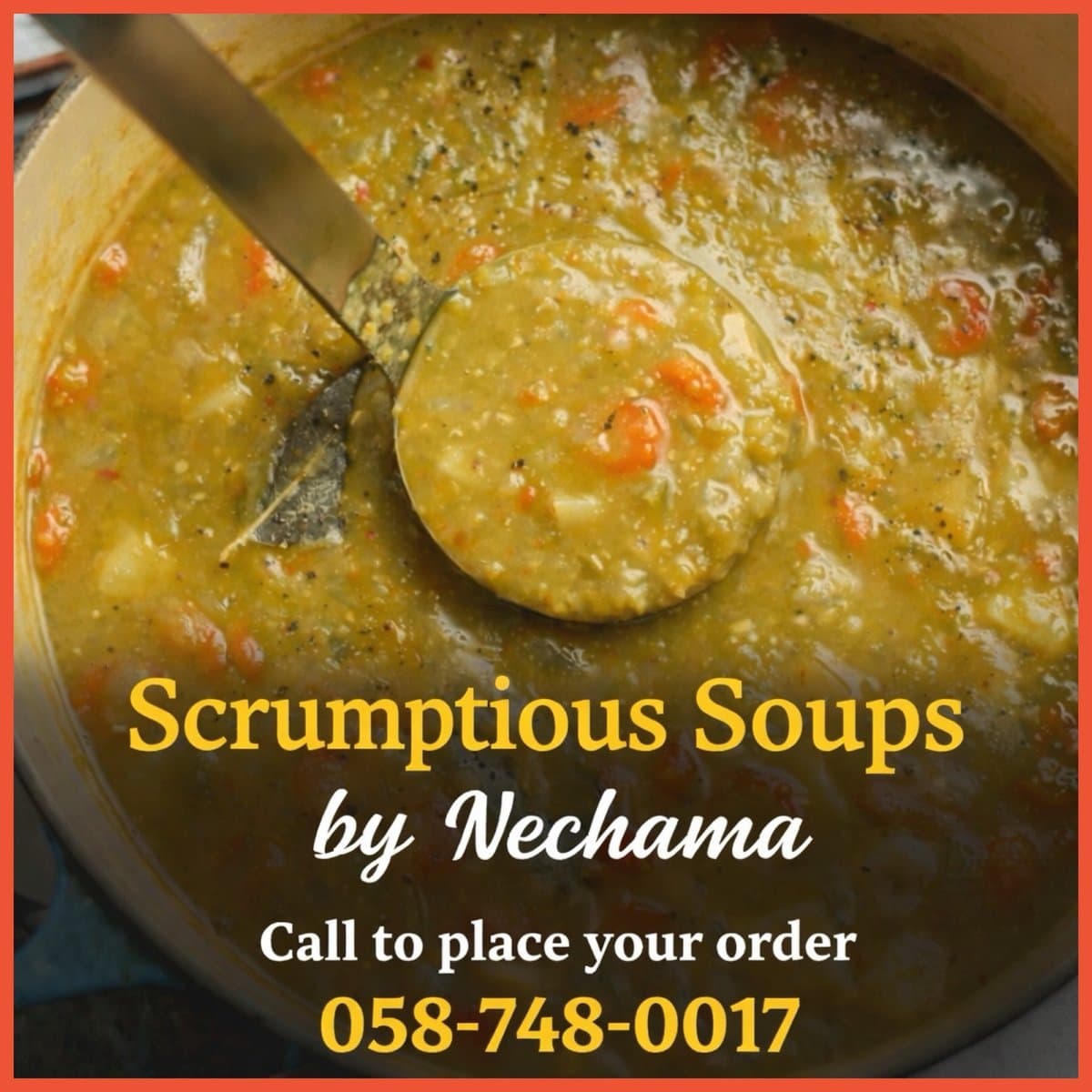 Scrumptious Soups by Nechama